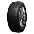 205/65R15 94V EfficientGrip Performance TL